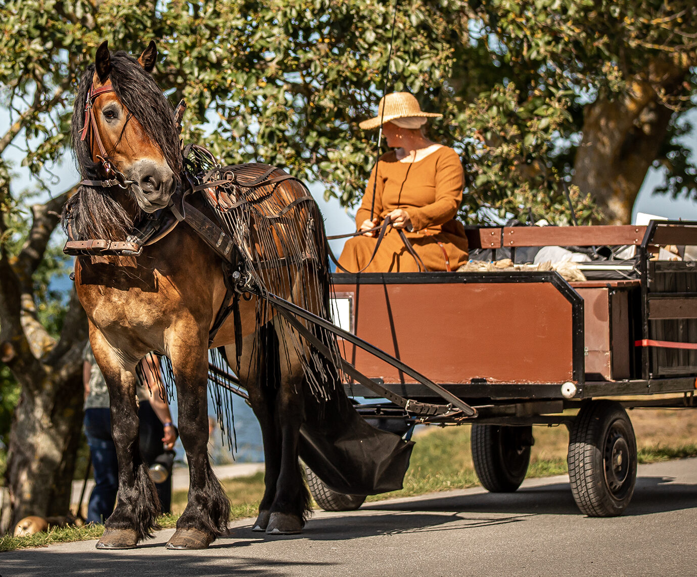 Häst och vagn på strandpromenaden i Visby.